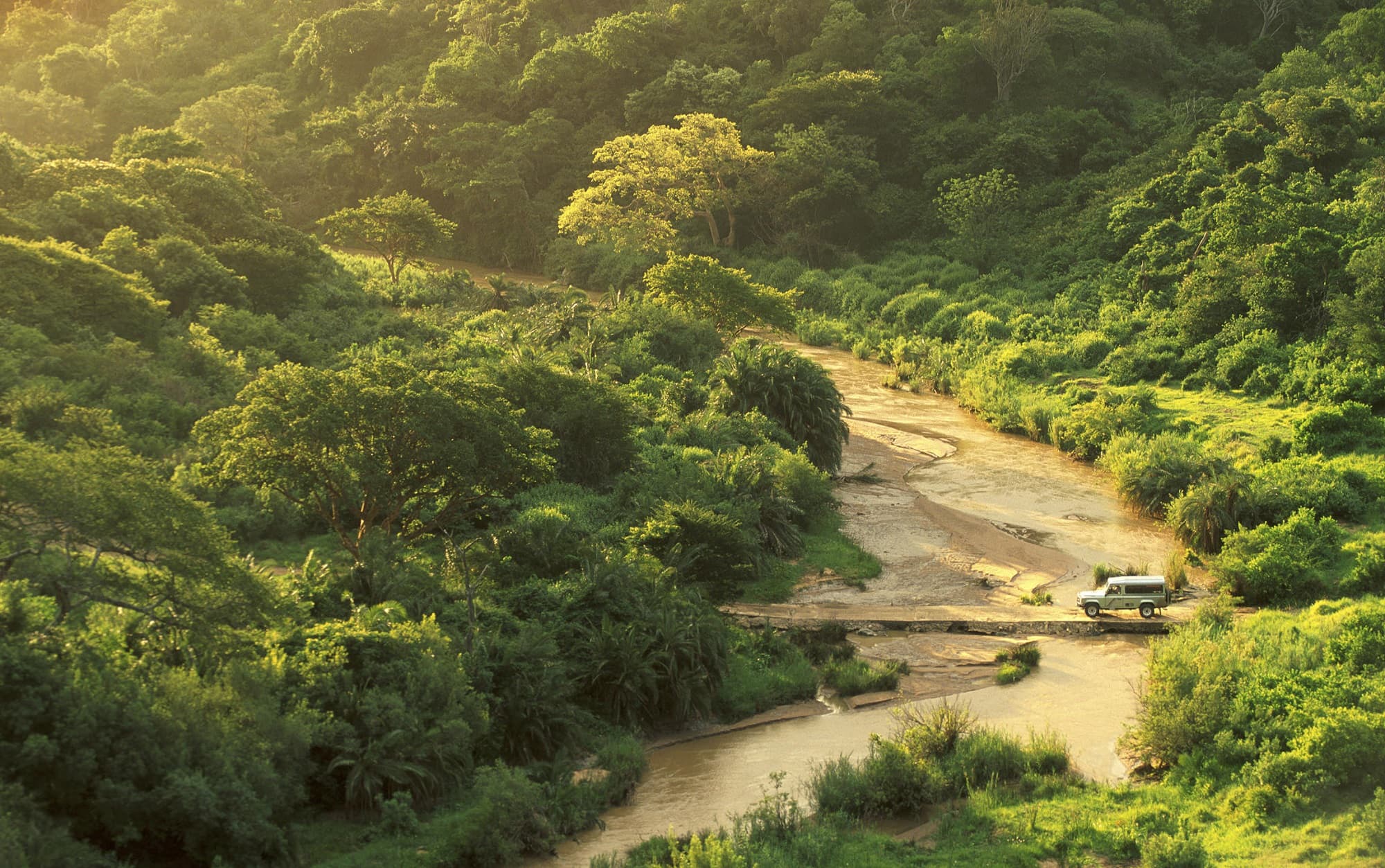 Safari - game drive jeep - kids - African Luxury