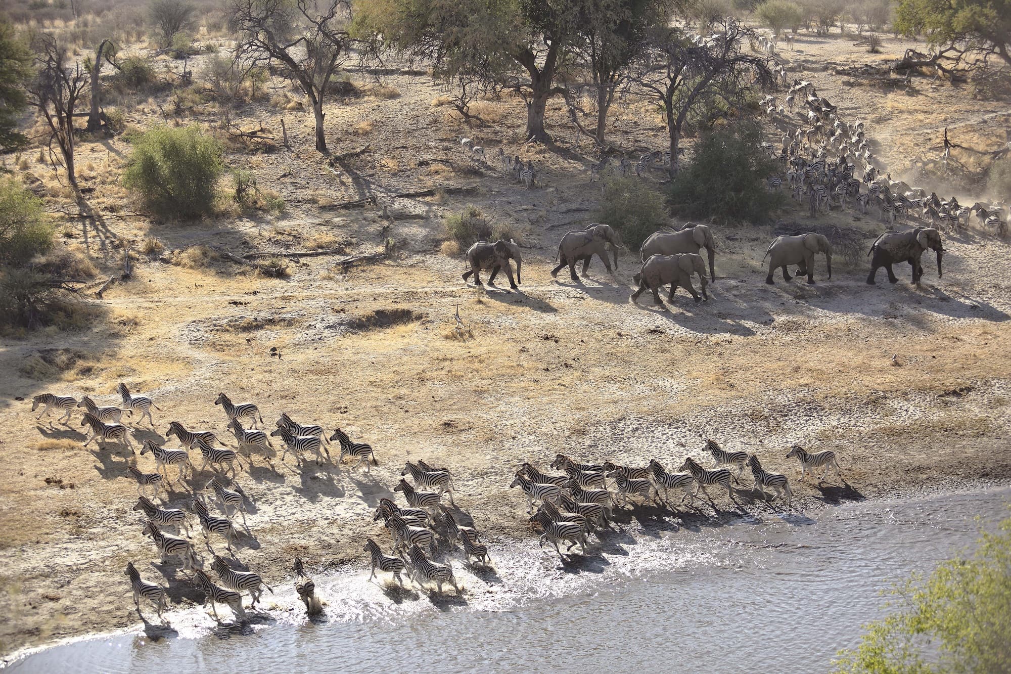 Meno a Kwena - Zebra Migration & Elephants - African Luxury