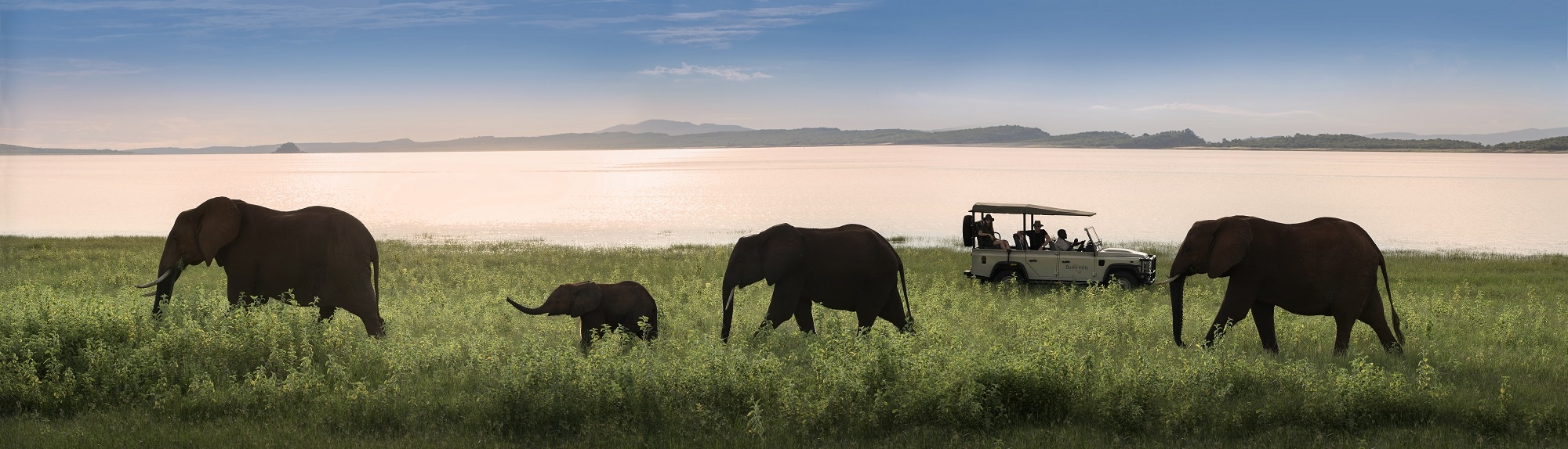 1._bumi_hills_safari_lodge_lake_kariba_zimbabwe_luxury_safari_lodge_lake_shore_game_drive_elephants__african_bush_camps_61