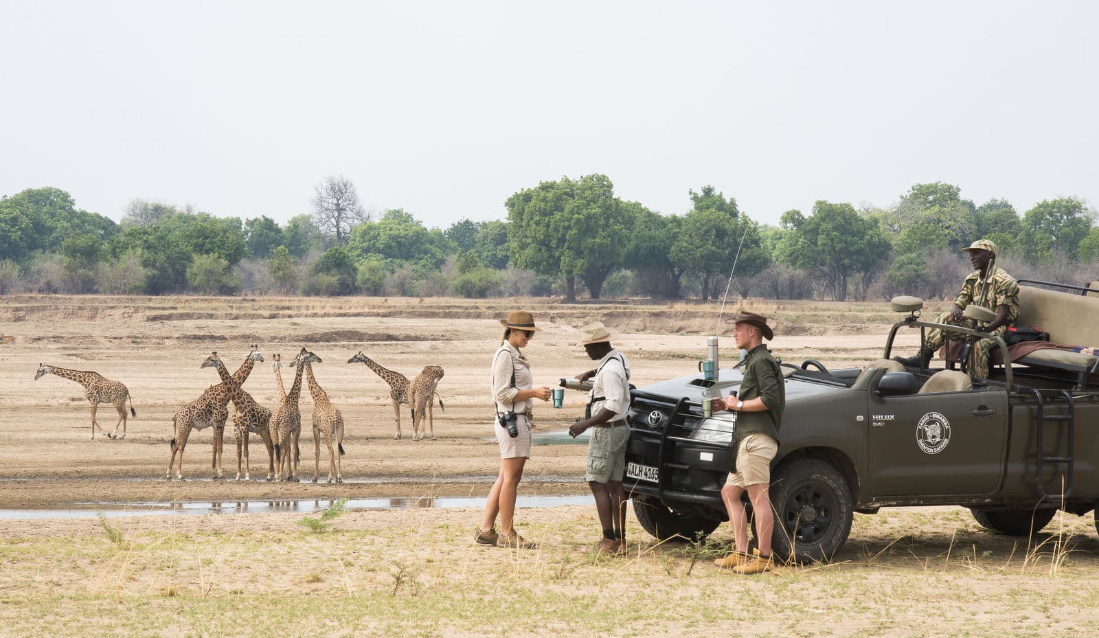 Shenton Safaris Game Drive - Zambia - African Luxury