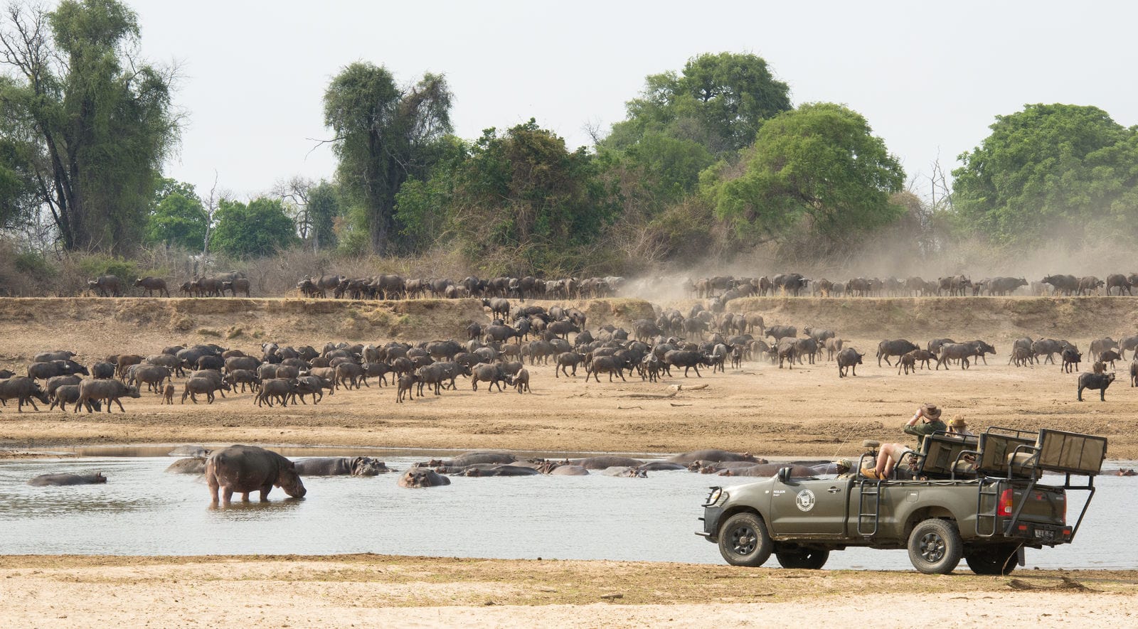 Shenton Safaris Game Drive - Zambia - African Luxury