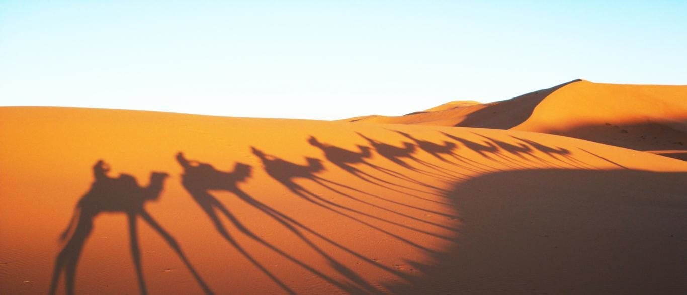 Header - De Koningsschatten van Marokko - African Luxury