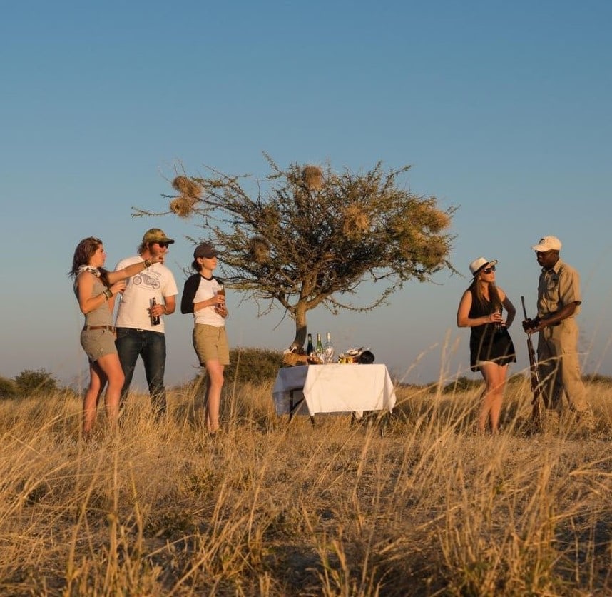 Reis - Sundowner stop Ongave Game Reserve - African Luxury