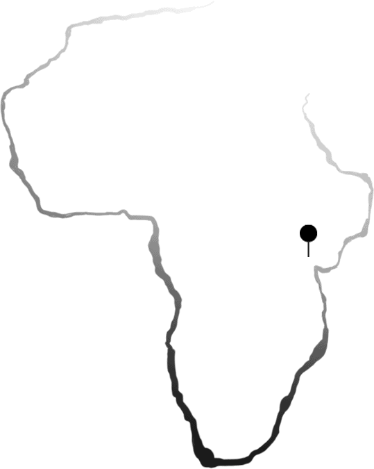 Tanzania is safariland van het eerste uur en dat is volstrekt logisch. Een optelsom van Mount Kilimanjaro, de hagelwitte stranden van specerijen-eiland Zanzibar, de ongerepte wildparken in het zuiden, Lake Tanganyika in het westen en natuurlijk de Serengeti; het podium van de spectaculaire “great migration”.