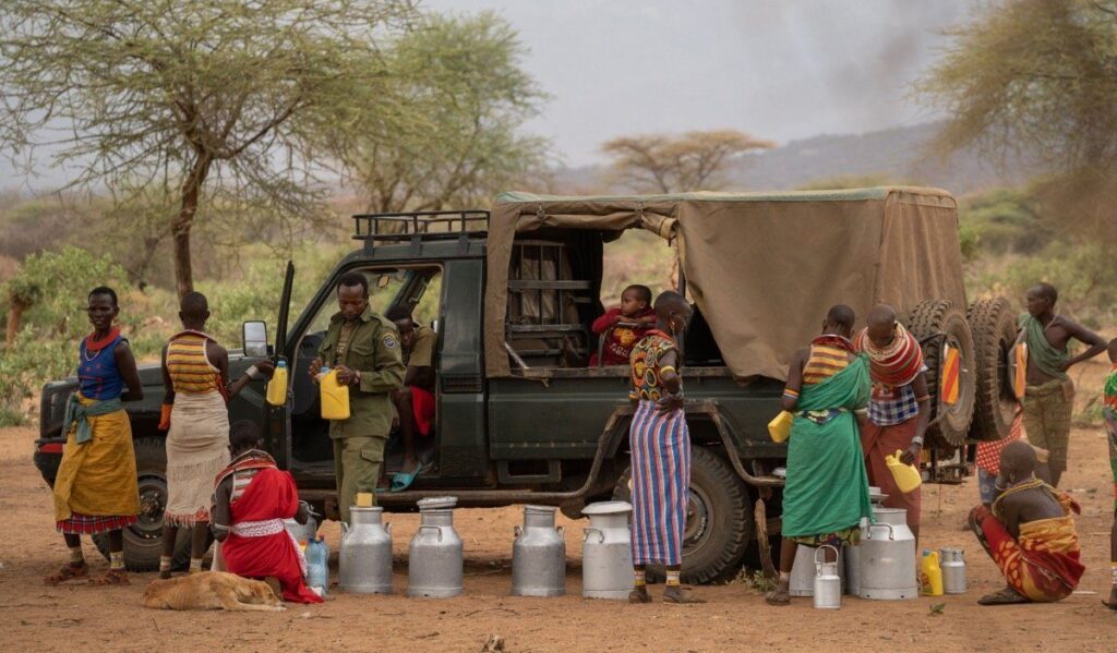De Samburu vrouwen brengen de geitenmelk naar melkman die langs hun dorp rijdt om dit op te halen