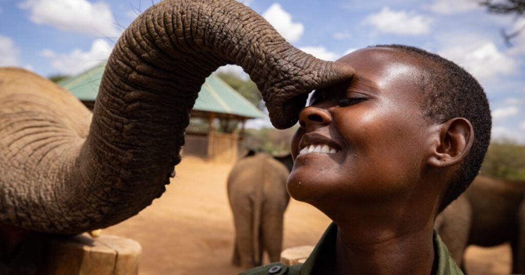 De charmante Naomi Leshongoro gepassioneerd aan het werk met de jonge olifanten